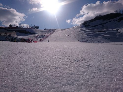 松之山温泉スキー場　今シーズンの営業終了です