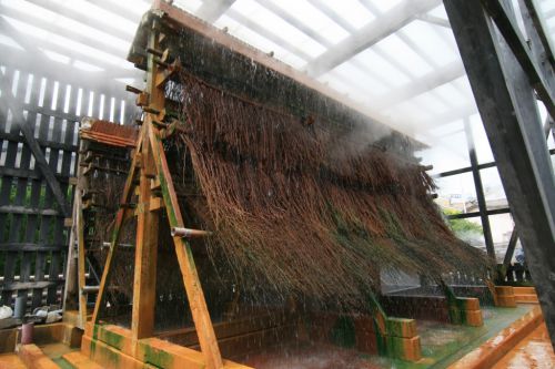 【別府市】鉄輪温泉 ひょうたん温泉～圧倒的湯量と湯雨竹が織りなす大規模温泉施設