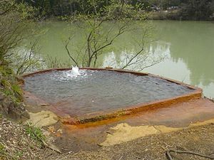 来年は奥会津の大塩温泉の天然炭酸泉を堪能したい。