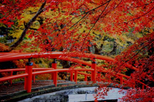 秋のデートはこれで決まり！週末に行ける紅葉を堪能できる関東の温泉7選