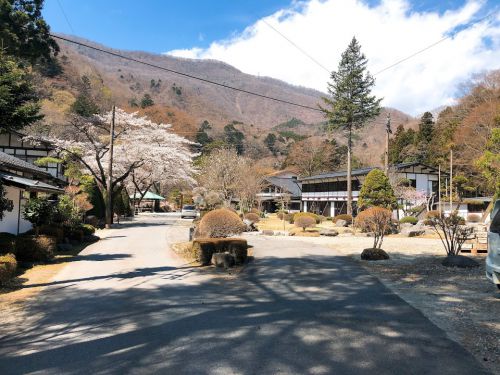 栃木県板室温泉 大黒屋 宿泊記 桜の季節、一人旅歓迎の保養とアートの宿に一人泊
