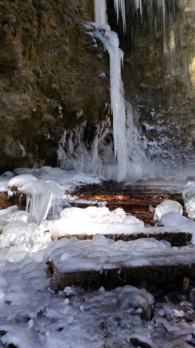 菱野温泉　不動の滝が凍りはじめました！●周辺の情報●