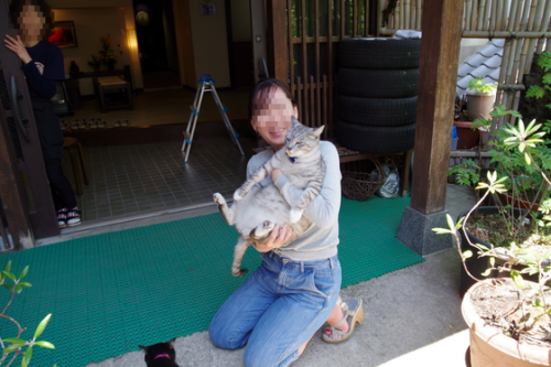草津温泉散策💛共同湯「瑠璃の湯」や可愛い看板猫のいるお宿