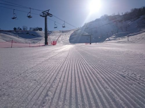 松之山温泉スキー場はサンライズ営業をしています