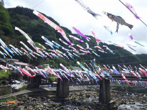熊本県　杖立温泉 鯉のぼり祭り
