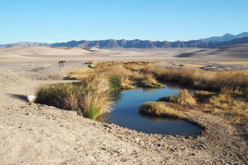 テコパ泥温泉, カリフォルニア州