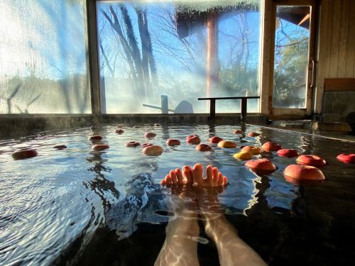 2019年に泊まった温泉宿で｢部屋｣｢風呂｣｢食事｣が良かったおすすめ宿ランキングを発表する