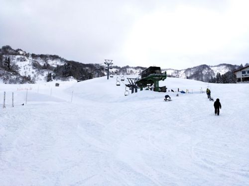 松之山温泉スキー場は全面滑走可となりました！