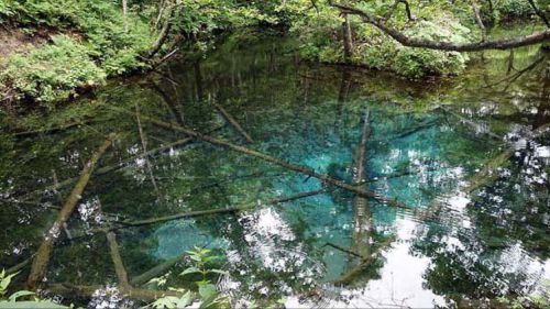 【北海道川湯温泉おっさん1人旅】私的北海道温泉評価ナンバー1の極上成分豊富な硫黄泉でまったり1泊2食付宿泊 KKRかわゆ川湯保養所